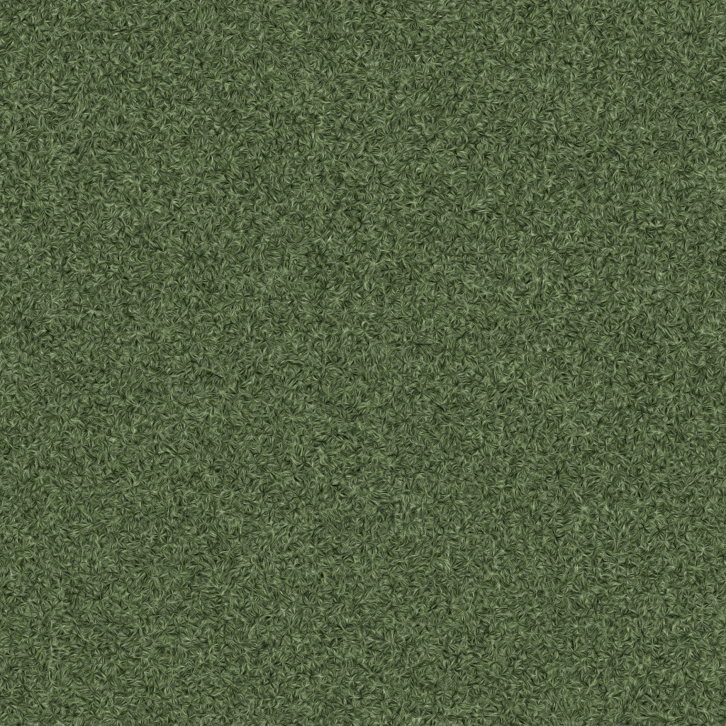 fortetexture303