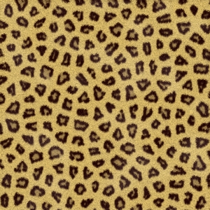 fortetexture108