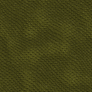 fortetexture249