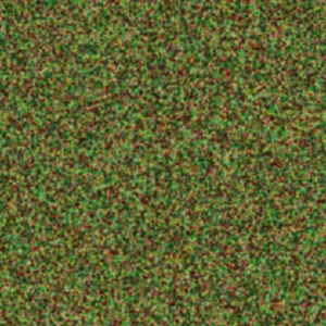 fortetexture322