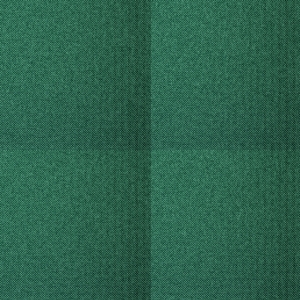 fortetexture342