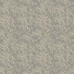 fortetexture35