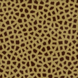 fortetexture105