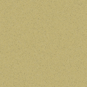 fortetexture323