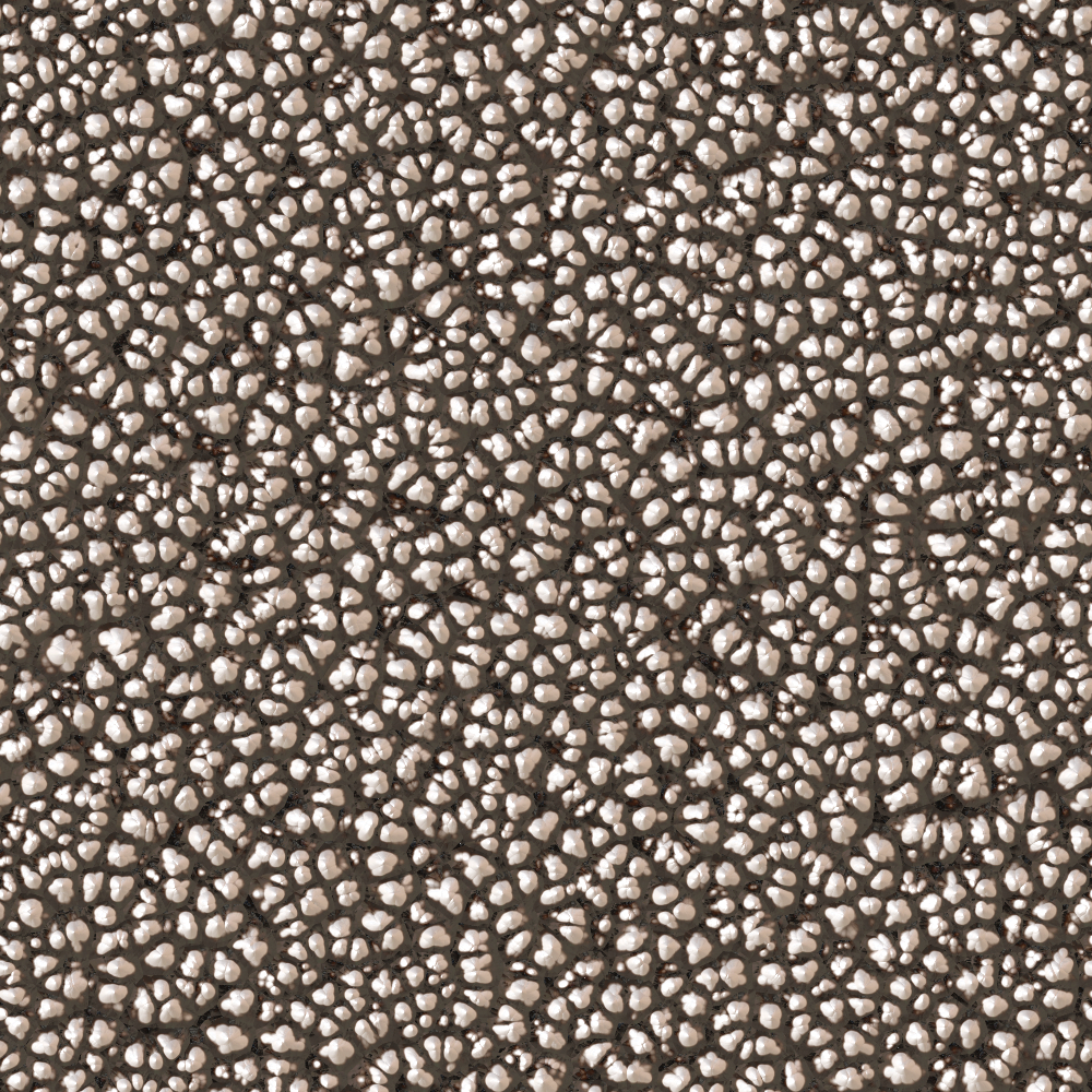 2026-DesignsbyForteGravel-02