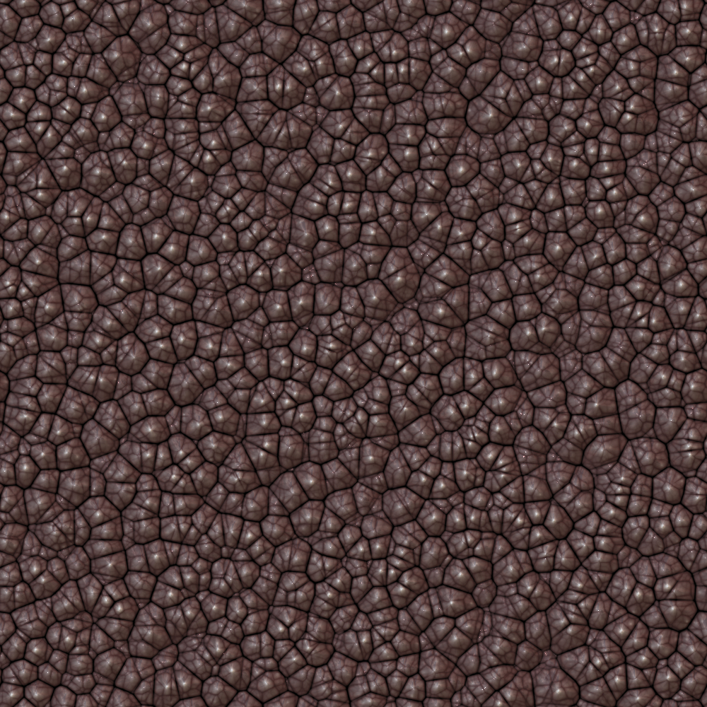2026-DesignsbyForteGravel-03