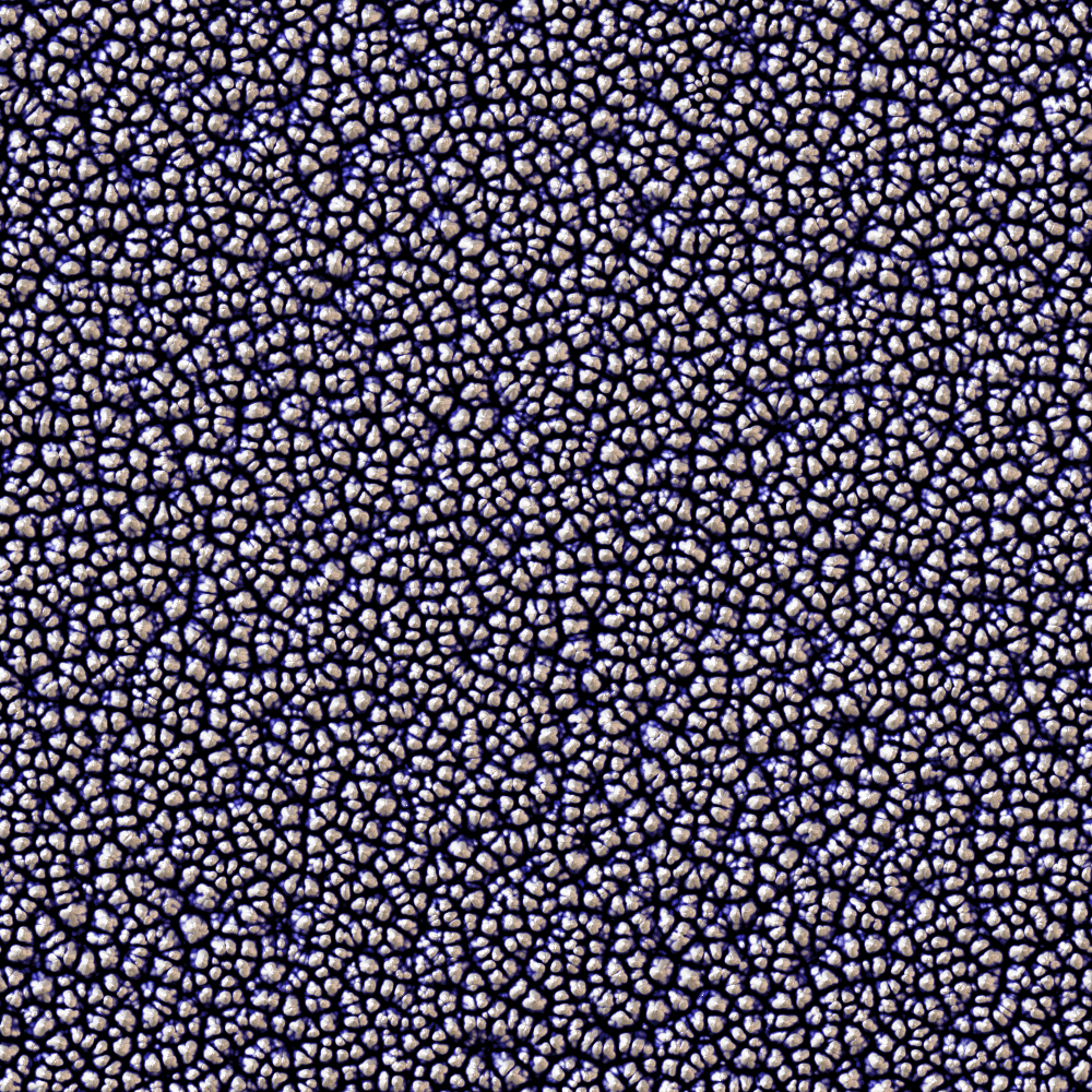 2026-DesignsbyForteGravel-10