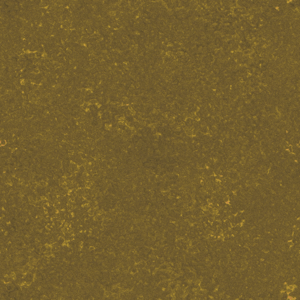 2026-DesignsbyForteStoneWork-05