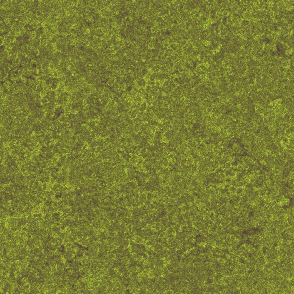2026-DesignsbyForteStoneWork-09