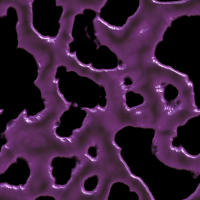 2026-DesignsbyForteVeinOverlays-15