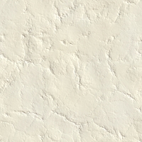 2026-DesignsbyForteBones-01