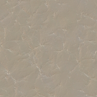 2026-DesignsbyForteBones-03