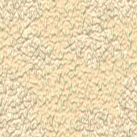 2026-DesignsbyForteStucco-14