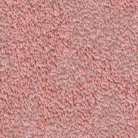 2026-DesignsbyForteStucco-16