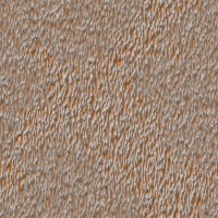 2026-DesignsbyForteStucco-17