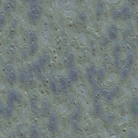 2026-DesignsbyForteRockFossil-01 2026-DesignsbyForteRockFossil-01