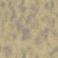 2026-DesignsbyForteRockFossil-03 2026-DesignsbyForteRockFossil-03