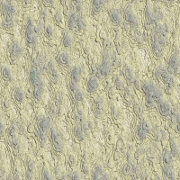 2026-DesignsbyForteRockFossil-08