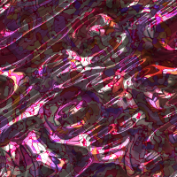 2026-DesignsbyFortePsyoil-21 2026-DesignsbyFortePsyoil-21