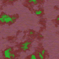 2026-DesignsbyForteBricks-31