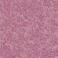 2026-DesignsbyForteStoneWork-14