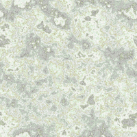 2026-DesignsbyForteStoneWork-16
