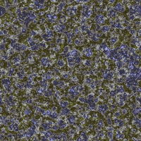 2026-DesignsbyForteStoneWork-62