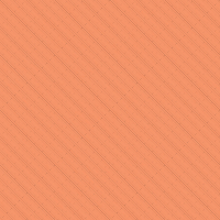 2026-DesignsbyFortewood-13