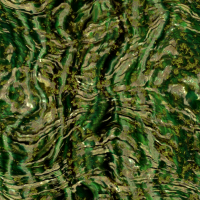 2026-DesignsbyForteFrogFace-02 2026-DesignsbyForteFrogFace-02
