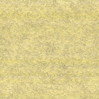 2026-DesignsbyForteFrogFace-19