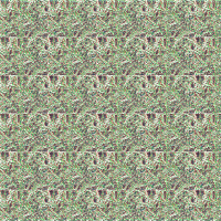 asylumbladetext1000x1000-057